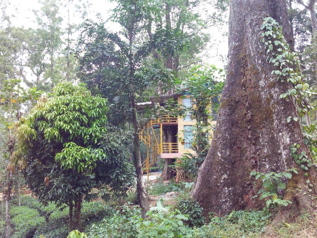 Jungle Jive Tree House Munnar Bed and Breakfast Habitación foto