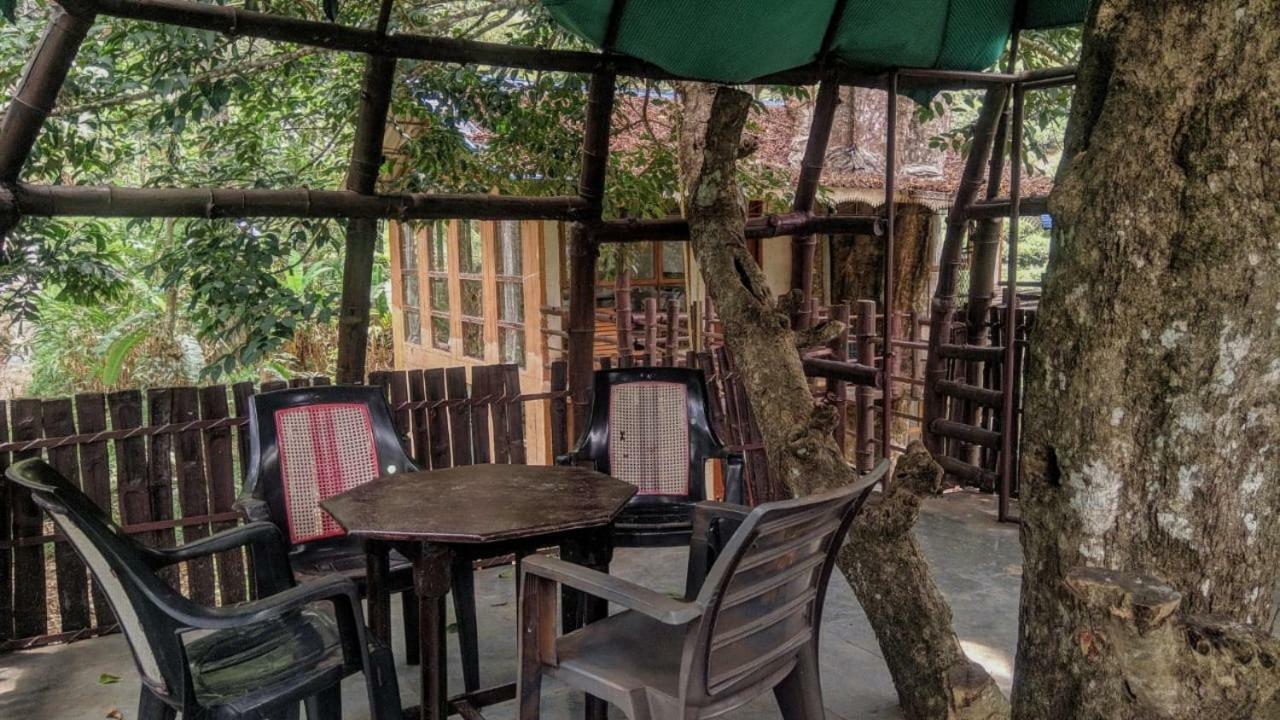 Jungle Jive Tree House Munnar Bed and Breakfast Exterior foto